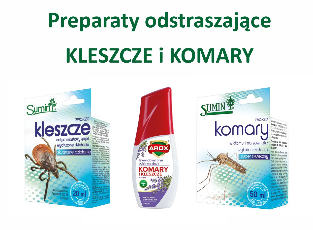 Banery_strona główna2.jpg